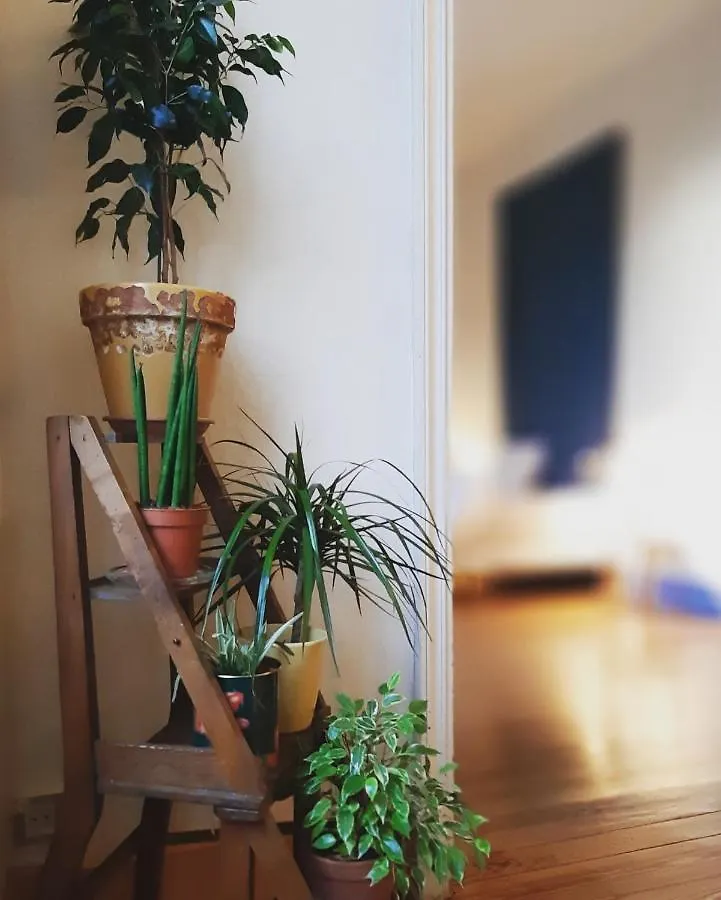 Maison Saint James Montelimar Guest house