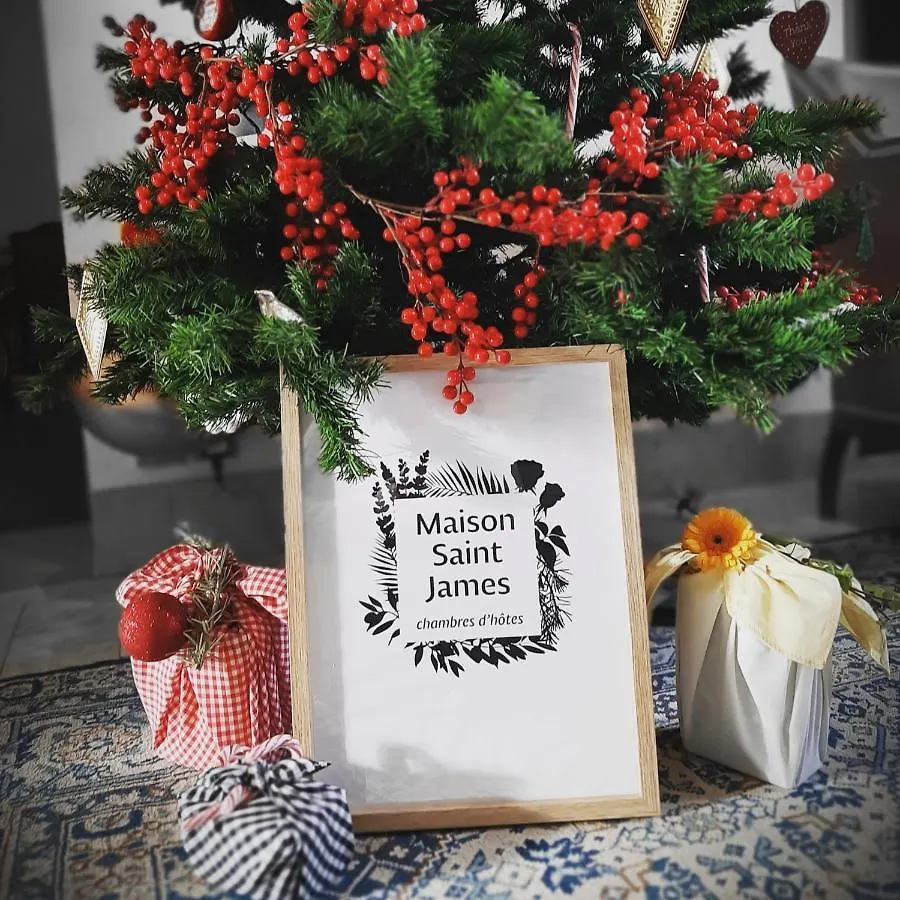 Maison Saint James Montelimar Guest house
