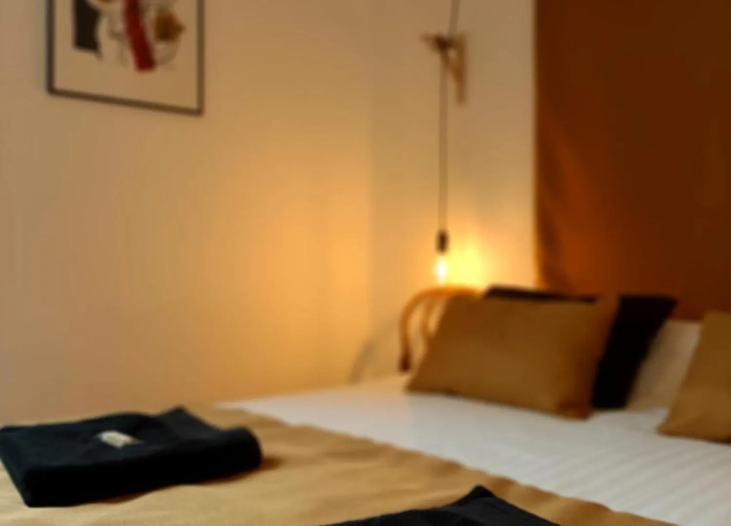 Maison Saint James Montelimar Guest house